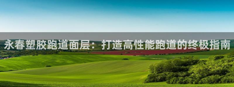 谈球吧体育app下载：永春塑胶跑道面层：打造高性能跑道的终极指南