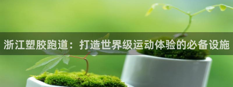 谈球吧体育app下载官网苹果手机：浙江塑胶跑道：打造世界级运动体验的必备设施