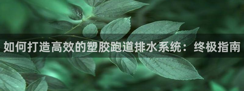 谈球吧网页版在线入口：如何打造高效的塑胶跑道排水系统：终极指南