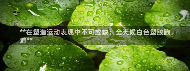 谈球吧登录网：**在塑造运动表现中不可或缺：全天候白色塑胶跑
道**