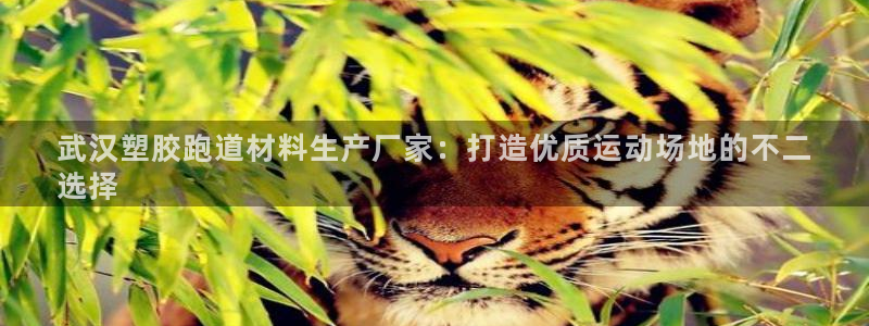 谈球吧平台黑吗?