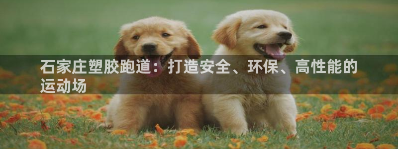 谈球吧平台正规吗可靠吗安全吗：石家庄塑胶跑道：打造安全、环保、高性能的
运动场