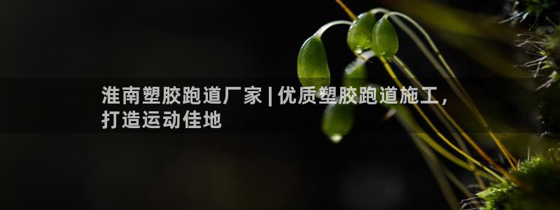 谈球吧体育官网入口：淮南塑胶跑道厂家 | 优质塑胶跑道施工，
打造运动佳地