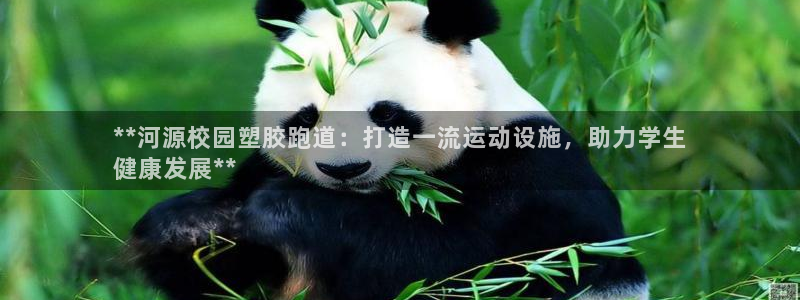 谈球吧体育首页综合登陆：**河源校园塑胶跑道：打造一流运动设施，助力学生
健康发展**