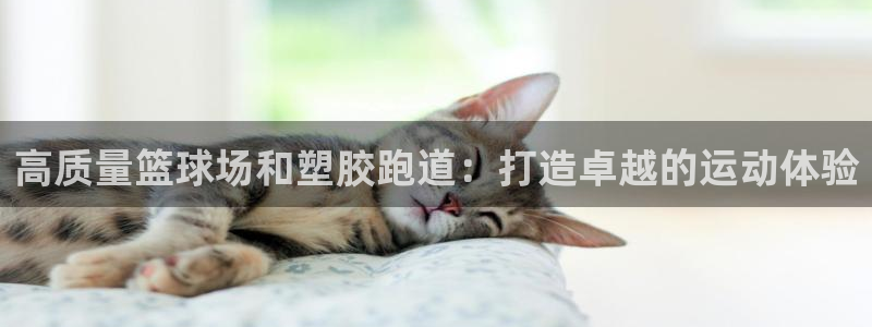 谈球吧体育app下载足球比赛直播：高质量篮球场和塑胶跑道：打造卓越的运动体验