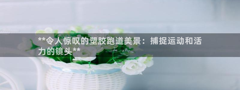 谈球吧在线登录免费观看：**令人惊叹的塑胶跑道美景：捕捉运动和活
力的镜头**