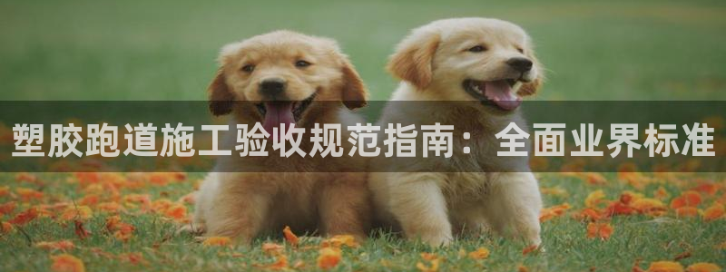 谈球吧：塑胶跑道施工验收规范指南：全面业界标准