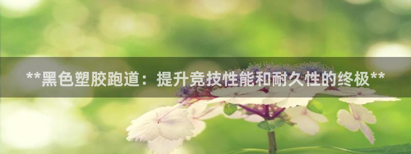 谈球吧是否诈骗：**黑色塑胶跑道：提升竞技性能和耐久性的终极**