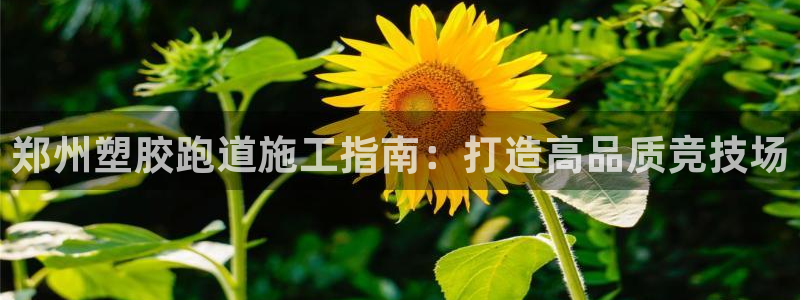 谈球吧网址：郑州塑胶跑道施工指南：打造高品质竞技场