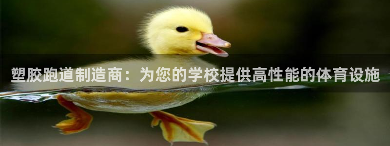 谈球吧体育app下载官网安卓：塑胶跑道制造商：为您的学校提供高性能的体育设施