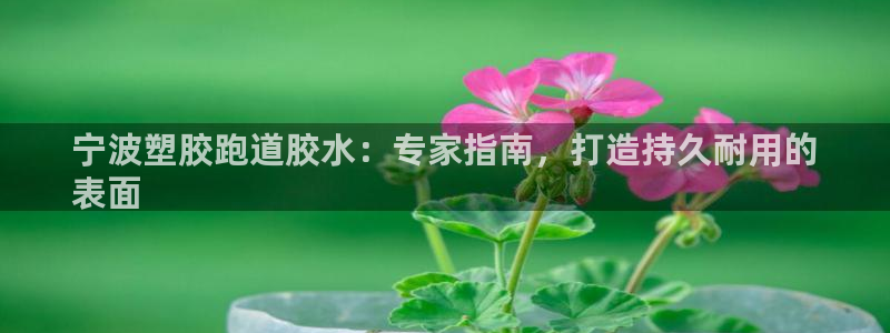 谈球吧的聊天软件是什么：宁波塑胶跑道胶水：专家指南，