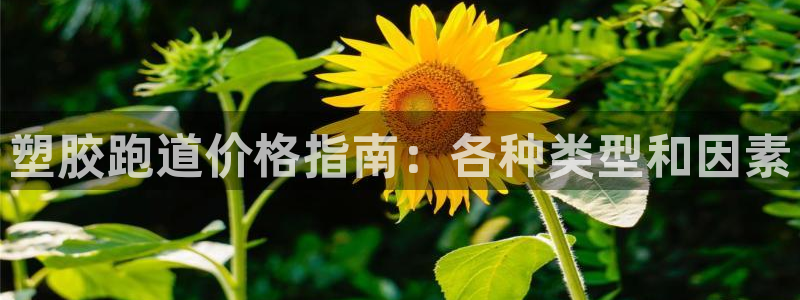 谈球吧的聊天软件是什么：塑胶跑道价格指南：各种类型和因素