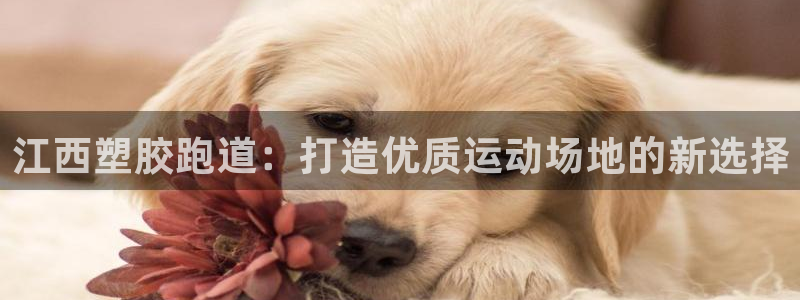 谈球吧网页版在线入口：江西塑胶跑道：打造优质运动场地
