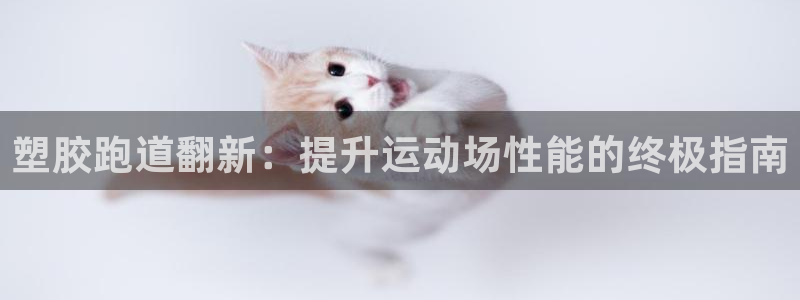 谈球吧红包码：塑胶跑道翻新：提升运动场性能的终极指南