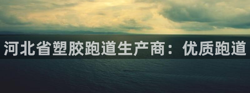 谈球吧app下载：河北省塑胶跑道生产商：优质跑道