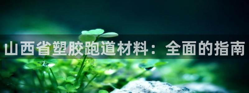 谈球吧在线登录免费观看：山西省塑胶跑道材料：全面的指