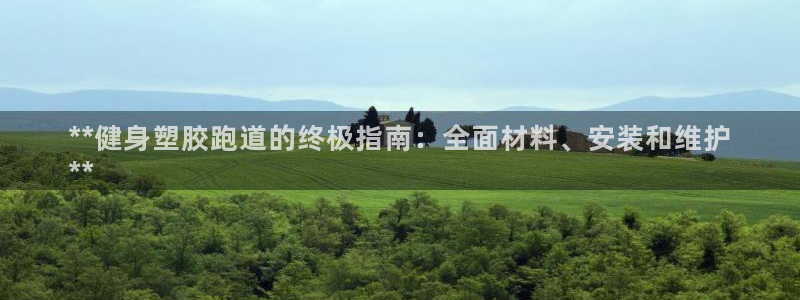 谈球吧的聊天软件有哪些：**健身塑胶跑道的终极指南：全面材料、安装和维护
**