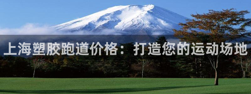 谈球吧官网入口在线观看：上海塑胶跑道价格：打造您的运动场地