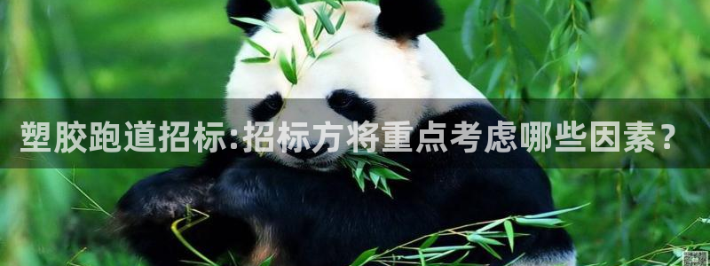 谈球吧体育app下载中心官方
