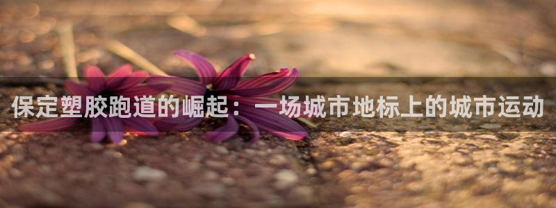 谈球吧在线观看