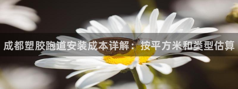 谈球吧-体育赛事：成都塑胶跑道安装成本详解：按平方米
