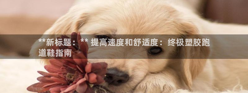 谈球吧app体育：**新标题：** 提高速度和舒适度