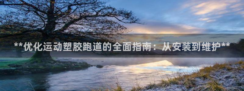 谈球吧体育官网入口：**优化运动塑胶跑道的全面指南：