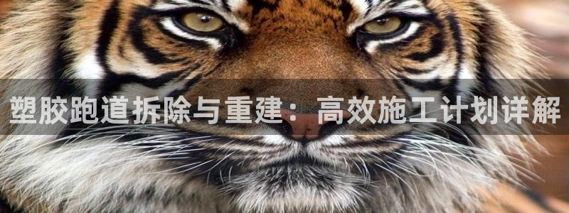 谈球吧app下载安装