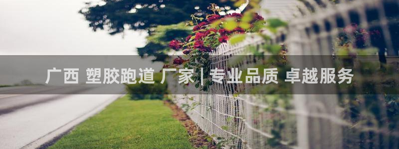 谈球吧平台正规吗可信吗安全吗：广西 塑胶跑道 厂家 | 专业