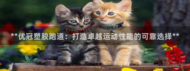 谈球吧首页：**优冠塑胶跑道：打造卓越运动性能的可靠选择**