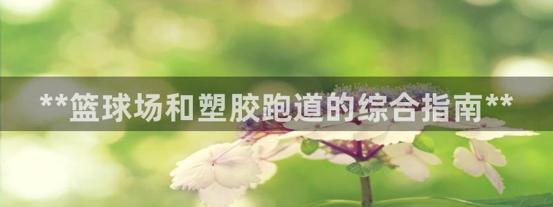 谈球吧官网在线入口手机版下载安装：**篮球场和塑胶跑道的综合