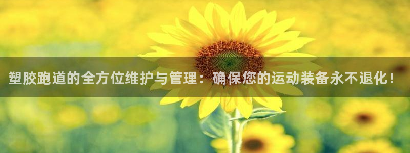 谈球吧官网在线入口手机版免费观看