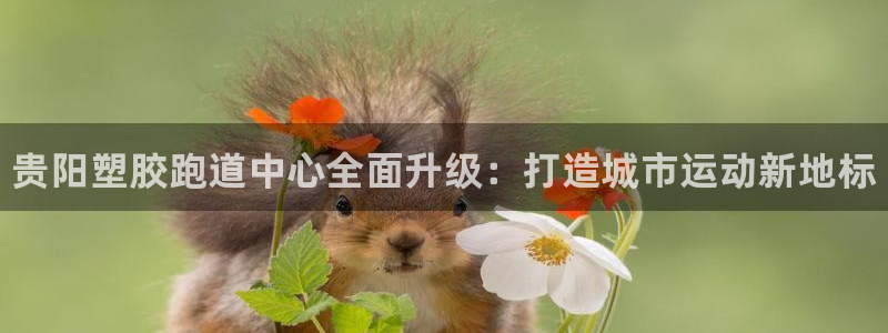 谈球吧官网在线入口免费观看