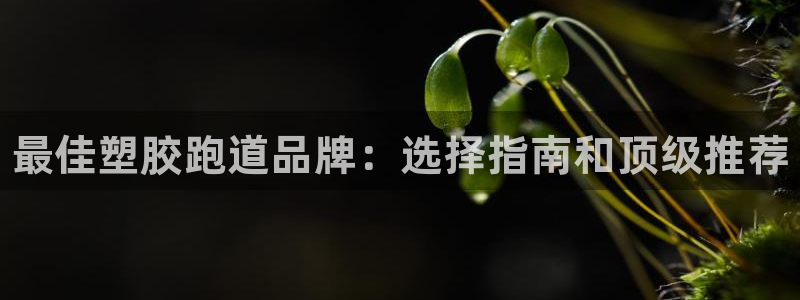谈球吧体育app下载中心：最佳塑胶跑道品牌：选择指南和顶级推荐