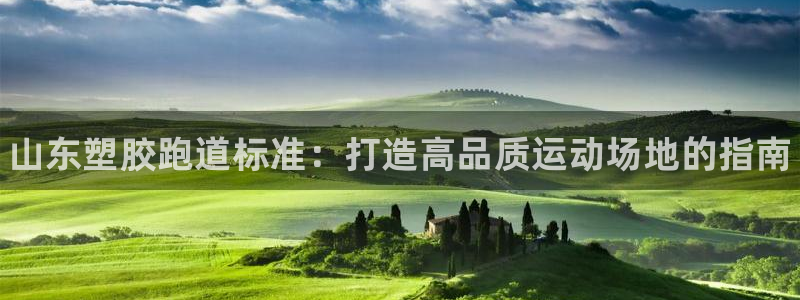 谈球吧全站app下载手机版：山东塑胶跑道标准：打造高