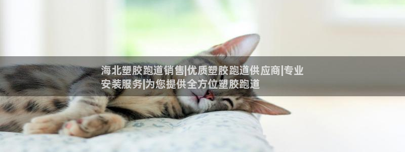 谈球吧网站：海北塑胶跑道销售|优质塑胶跑道供应商|专业
安装服务|为您提供全方位塑胶跑道