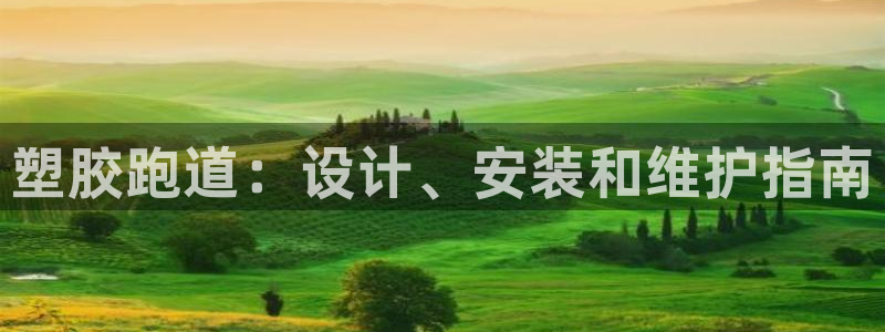 谈球吧属于哪个：塑胶跑道：设计、安装和维护指南