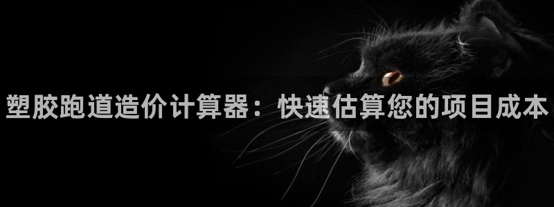 谈球吧体育：塑胶跑道造价计算器：快速估算您的项目成本