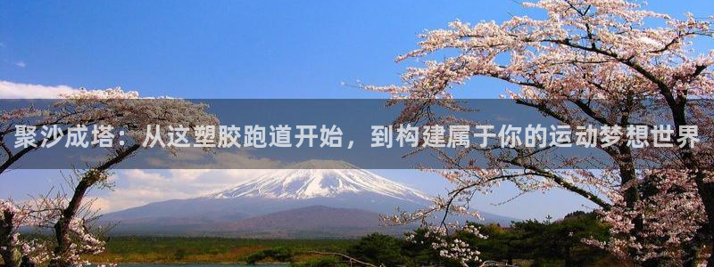 谈球吧的聊天软件叫什么