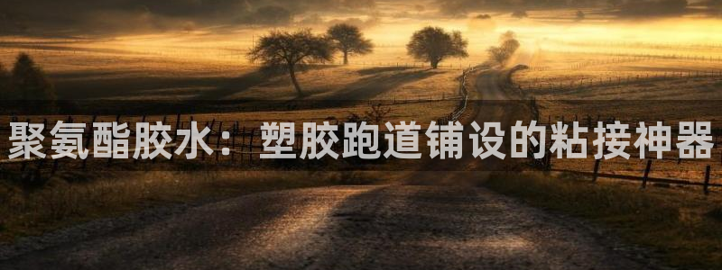 谈球吧网app官网下载：聚氨酯胶水：塑胶跑道铺设的粘