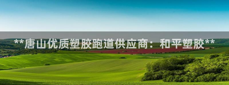 谈球吧app在哪里下载：**唐山优质塑胶跑道供应商：和平塑胶