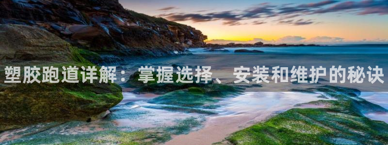 谈球吧的聊天软件叫什么来着：塑胶跑道详解：掌握选择、