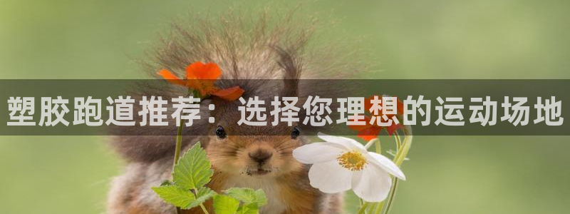 谈球吧中国：塑胶跑道推荐：选择您理想的运动场地