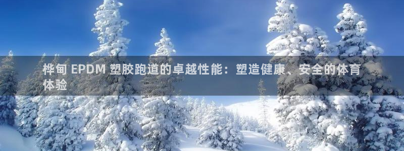 谈球吧论坛：桦甸 EPDM 塑胶跑道的卓越性能：塑造健康、安全的体育
体验