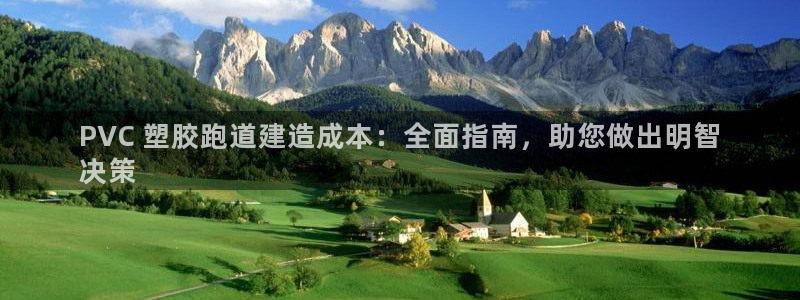 谈球吧娱乐app下载官网苹果版：PVC 塑胶跑道建造成本：全面指南，助您做出明智
决策