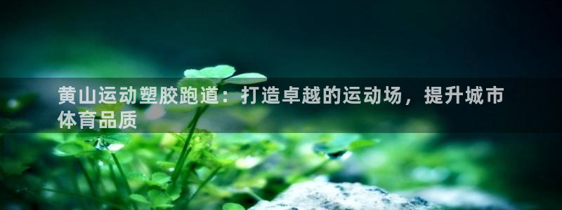 谈球吧咋样：黄山运动塑胶跑道：打造卓越的运动场，提升城市
体育品质
