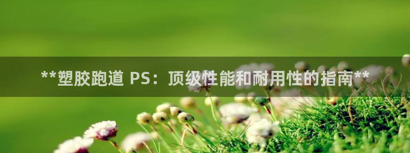 谈球吧买球靠谱吗：**塑胶跑道 PS：顶级性能和耐用性的指南**