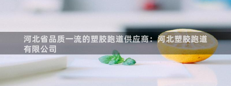 谈球吧登录网：河北省品质一流的塑胶跑道供应商：河北塑胶跑道
有限公司