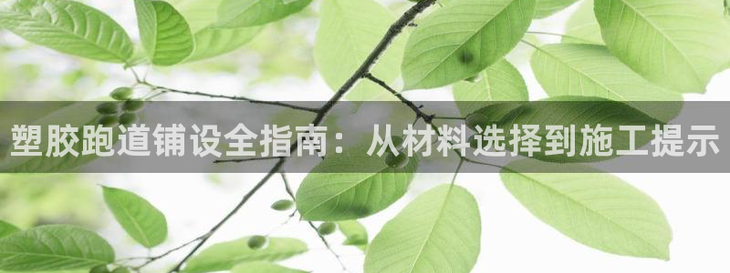 谈球吧app赛事分析报告：塑胶跑道铺设全指南：从材料选择到施工提示