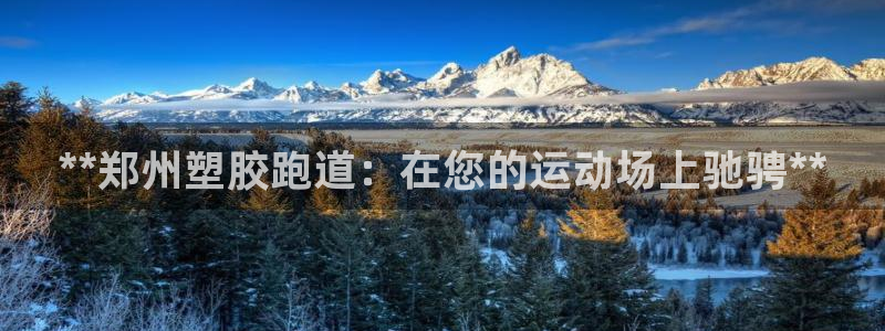 谈球吧官网app：**郑州塑胶跑道：在您的运动场上驰骋**